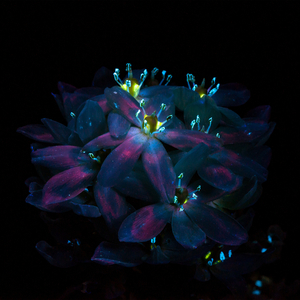 9岁的小女孩的光着屁股照片
